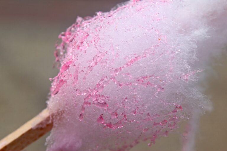 La barbapapa, c'est surfait.