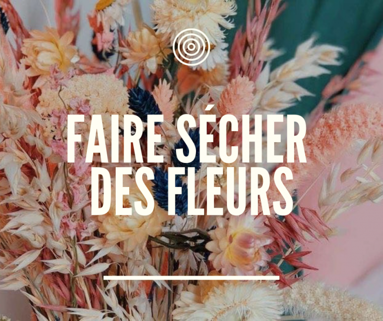 Faire sécher vos fleurs pour les garder pour toujours…