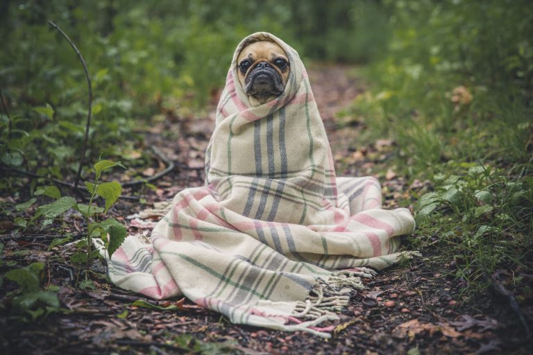 Tu sais que t&rsquo;es allergique à l&rsquo;hiver quand…