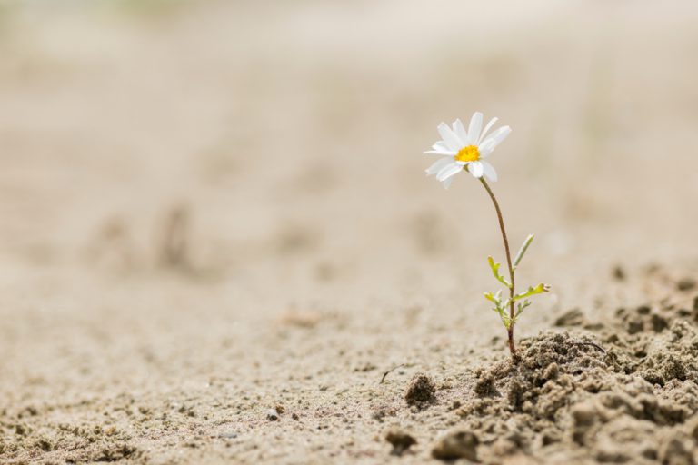 Covid 19 : le deuil de notre invincibilité