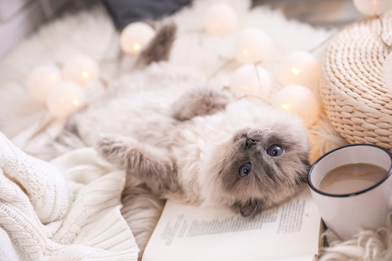 Des habitudes hebdomadaires pour te permettre de glander le weekend !