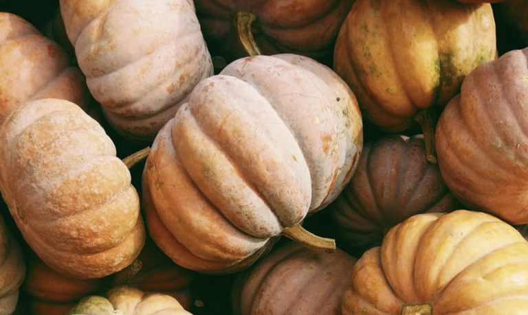 20 choses à faire pour occuper l&rsquo;automne !